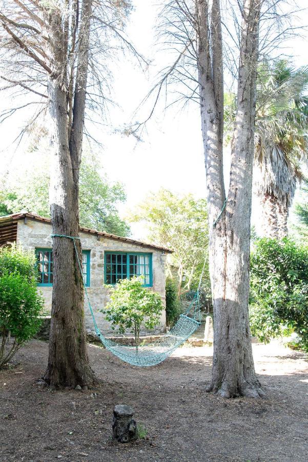 Neiva River House - Azenha Next To The River Esposende Dış mekan fotoğraf