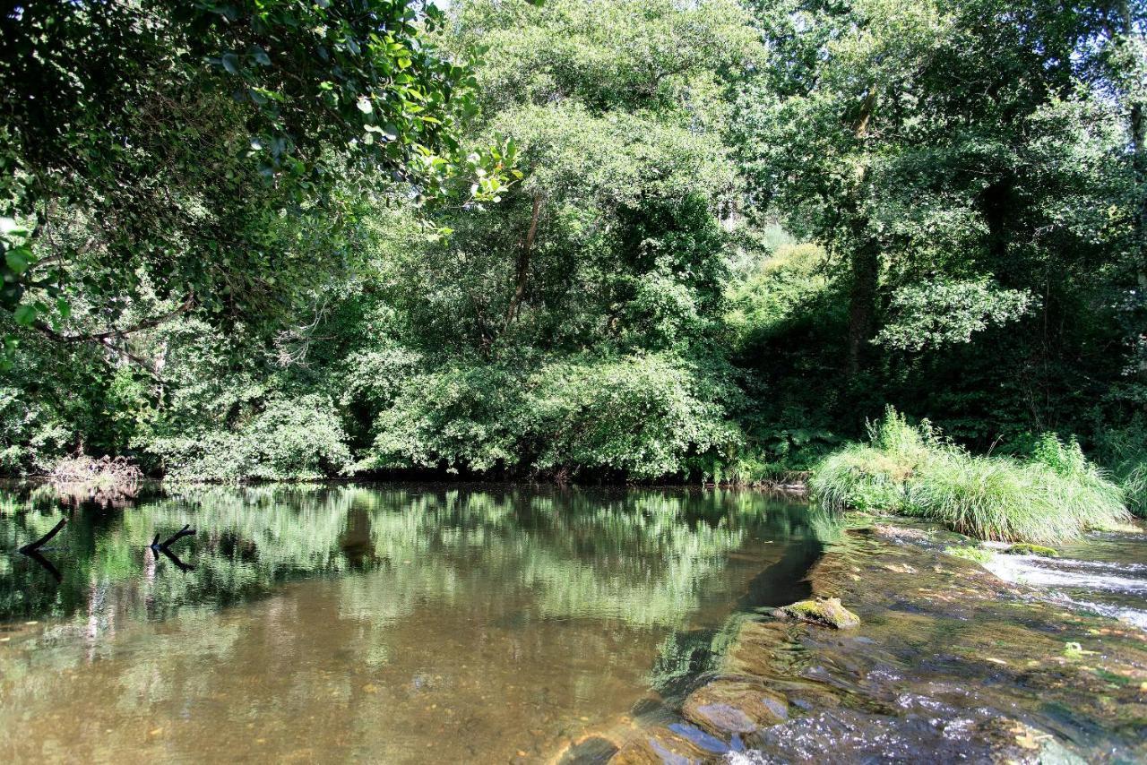 Neiva River House - Azenha Next To The River Esposende Dış mekan fotoğraf