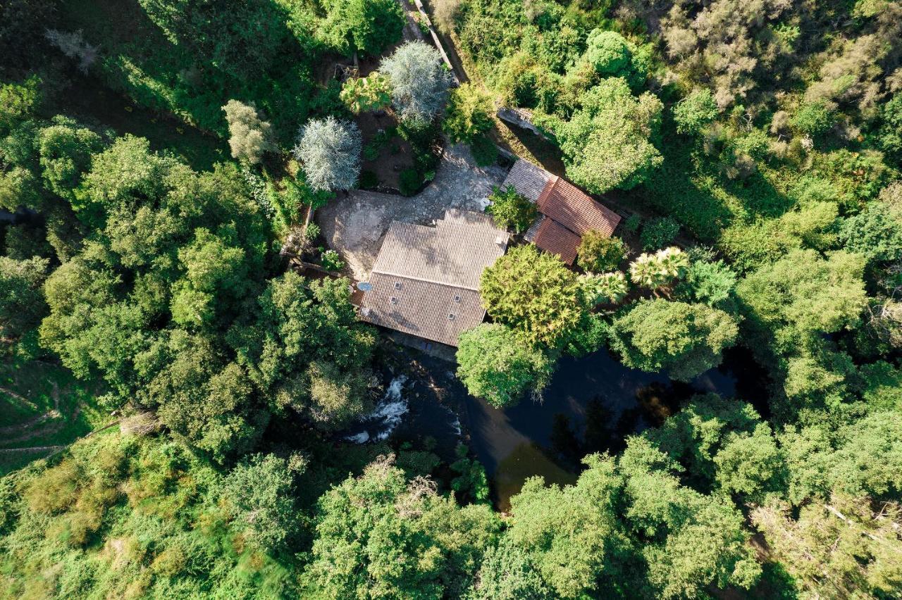 Neiva River House - Azenha Next To The River Esposende Dış mekan fotoğraf